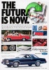 Ford 1978 60.jpg